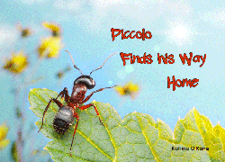Piccolo Finds His Way Home is story about a young ant who doesn't like to work.  He runs away from home, just like the prodigal son, but discovers throughout his journey the benefits of working together and the the value of family. 

Each year in Australia thousands of children and young teenagers run away from home.  This story provides moral guidance for young children on the importance of family.